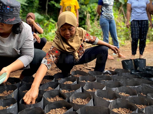 KKN Universitas Ahmad Dahlan (UAD) bersama kelompok wanita tani bagikan ratusan bibit tanaman di Semanu Gunungkidul (Foto: Istimewa)