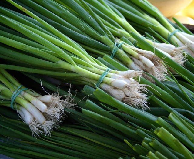 Ilustrasi Cara Menanam Bawang Daun di Pekarangan Rumah. Foto: dok. Christopher Previte (Unsplash)