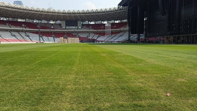 Kondisi rumput Stadion Utama Gelora Bung Karno (GBK), Senayan, Jakarta pada 13 Maret 2023 usai konser Blackpink sehari sebelumnya. Foto: Jodi Hermawan/kumparan