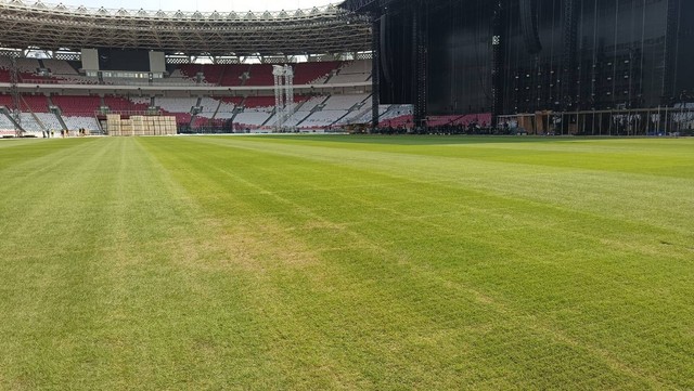 Kondisi rumput Stadion Utama Gelora Bung Karno (GBK), Senayan, Jakarta pada 13 Maret 2023 usai konser Blackpink sehari sebelumnya. Foto: Jodi Hermawan/kumparan