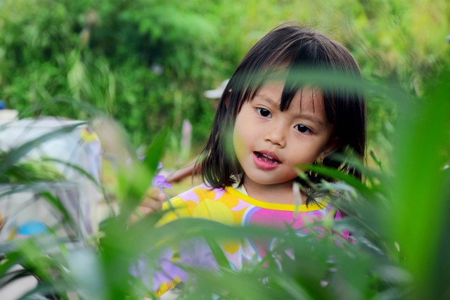 Objek Wisata di Bandung untuk Anak, Dijamin Seru!/Foto ini hanya ilustrasi dan bukan tempat aslinya. Sumber: Unsplash/Nurpalah Dee