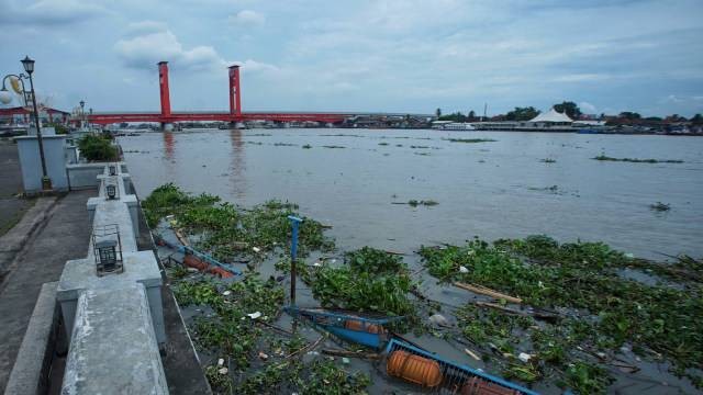 Tumpukan sampah enceng gondok di Sungai Musi Palembang, Foto: ary priyanto/Urban Id