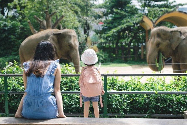 Harga Tiket Masuk Semarang Zoo. Foto: Shutterstock