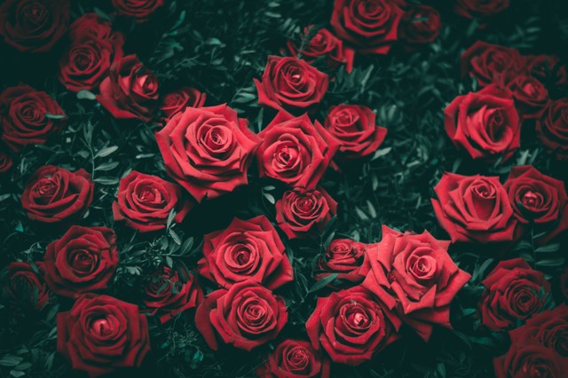 Ilustrasi Caption Romantis Singkat dan Penuh Makna. Foto: Unsplash/ Biel Moro.