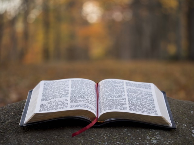 Kata-kata Bijak Alkitab tentang Kehidupan, Unsplash/Aaron Burden