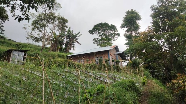 Lokasi penemuan mayat perempuan di belakang salah satu rumah warga di Nagari (Desa) Singgalang, Kecamatan X Koto, Kabupaten Tanah Datar, Sumatera Barat. Foto: Dok. Istimewa