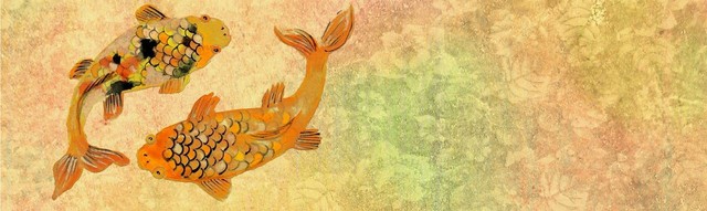 Ilustrasi Cara Merawat Ikan Koi. Sumber: Pixabay