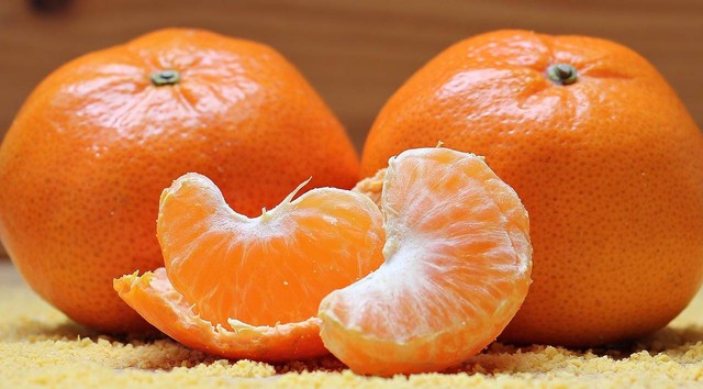Ilustrasi cara menanam jeruk. Sumber foto Pixabay