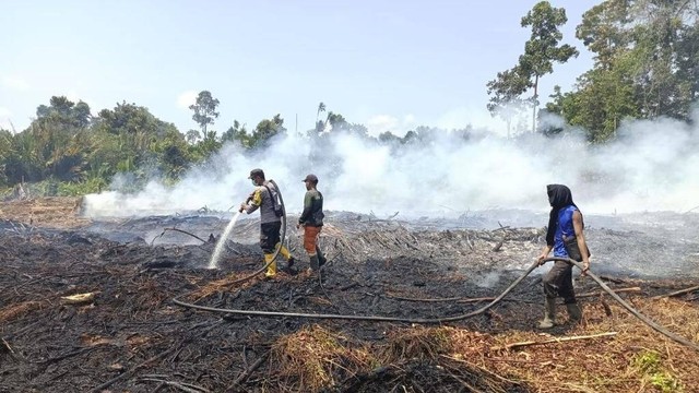 Petugas memadamkan lahan gambut di Riau yang terbakar. Foto: Dok. Istimew