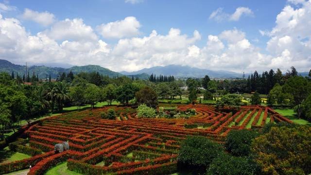 Harga Tiket Taman Bunga Nusantara 2023, Foto: Kumparan/Shutterstock