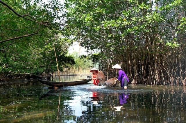 Inspirasi umpan ikan tombro, sumber foto: Quang Nguyen Vinh by pexels.com 