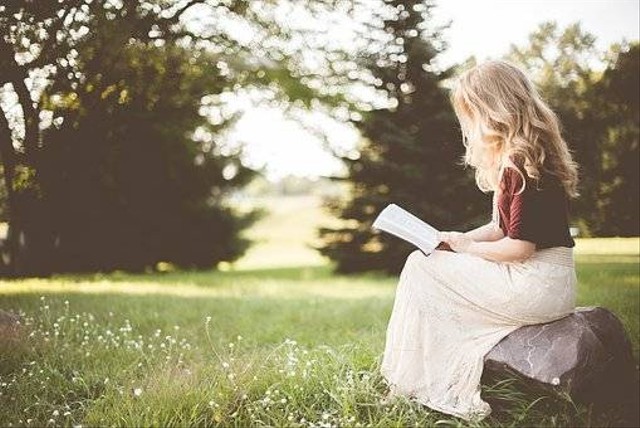 Ilustrasi Pekerjaan yang Cocok untuk Introvert. Sumber; Pixabay