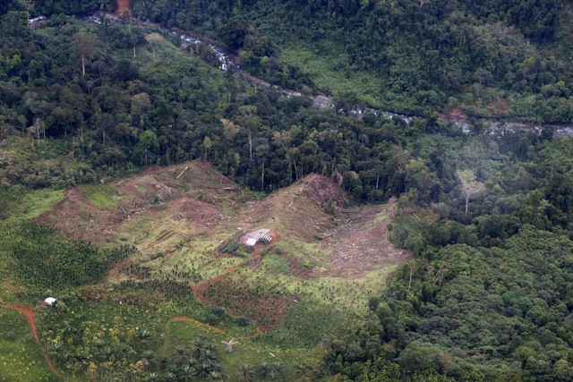 Kondisi hutan di kawasan hulu DAS Keureuto di Aceh Utara, pada 2021. Foto: Junaidi Hanafiah