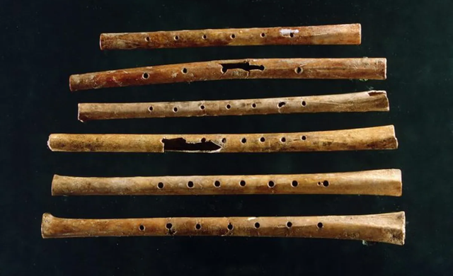 Enam seruling Jiahu berusia antara 7.000 hingga 9.000 tahun.  Foto: Brookhaven National Laboratory