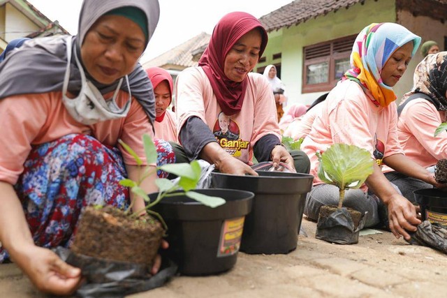 Kegiatan budi daya tanaman sayur yang digelar Mak Ganjar bersama warga di Kelurahan Curug Manis, Kecamatan Curug, Serang. Foto: Dok. Istimewa