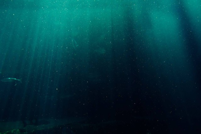 Ilustrasi 5 Upaya Pemanfaatan Laut dalam Meningkatkan Perekonomian. Sumber: Pexels.com/Blaque X