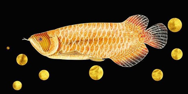 Ilustrasi Jenis-jenis Ikan Arwana. Sumber: Pixabay