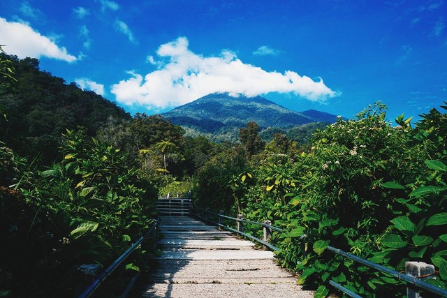 Ilustrasi sejarah gunung gede pangrango. Sumber: ibadah mimpi/pixabay.com 
