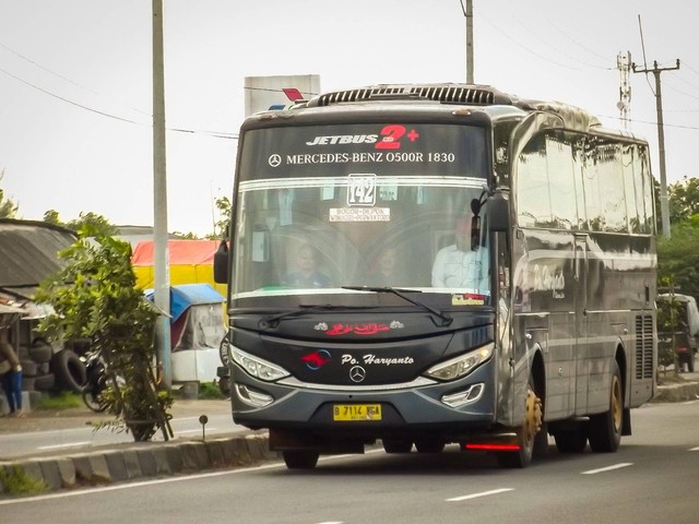 Bus PO Haryanto di Pantura. Foto: Rizki Fajar Novanto/kumparan