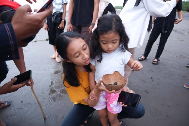 Salah satu anak kecil sedang melakukan pereleasan tukik ditemani oleh orang tuanya di Pantai Pelangi, Yogyakarta.