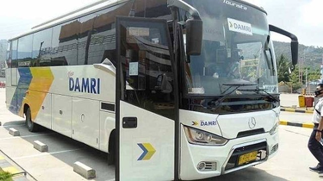 Ilustrasi bus DAMRI. | Foto: Dok DAMRI