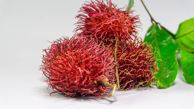 Ilsutrasi cara menanam rambutan dari biji. Sumber foto Pixabay, fotografer Fathima Shanas