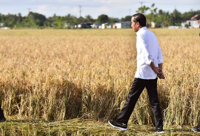 Presiden Jokowi melakukan inspeksi ketersedian beras di lokasi Gudang Bulog Batangase, Kabupaten Maros. Sulsel. Foto: Agus Suparto/Presidential Palace