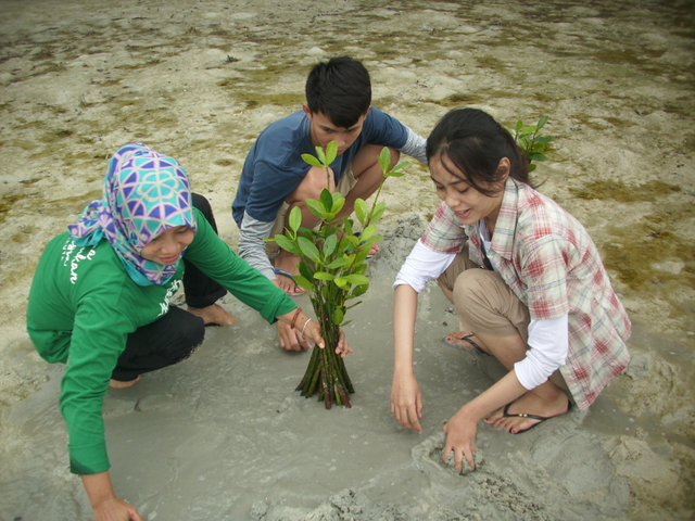 Foto anak muda sedang melakukan penanaman mangrove. Sumber foto: Dokumentasi pribadi