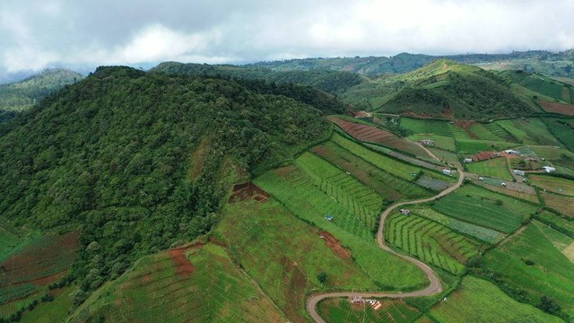 Ilustrasi bukit di Sulawesi. Sumber www.unsplash.com