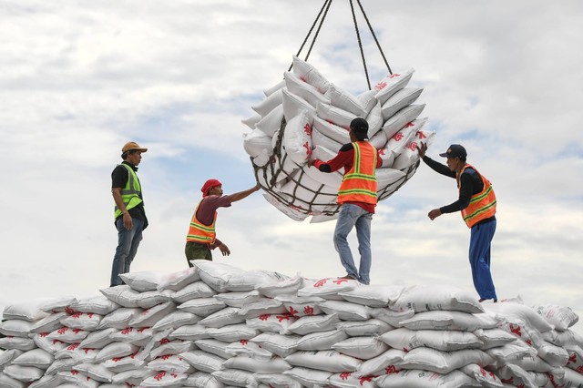 Pekerja melakukan bongkar muat gula kristal putih impor di Pelabuhan Tanjung Priok, Jakarta, Sabtu (1/4/2023). Foto: Hafidz Mubarak A/ANTARA FOTO