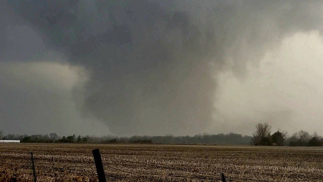 Ilustrasi Tornado. Foto: Katie Feeney/via REUTERS