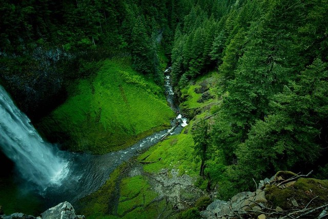 Ilustrasi curug di subang - Sumber: https://pixabay.com/id/users/pexels-2286921/