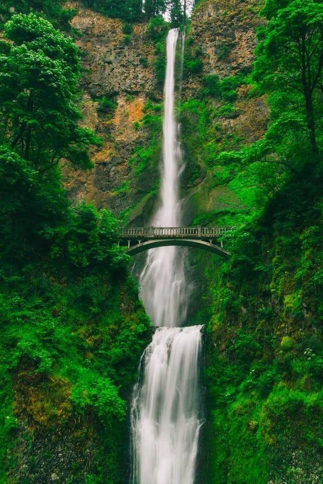 Curug di Puncak Bogor. Foto hanyalah ilustrasi. Pexels/Pixabay