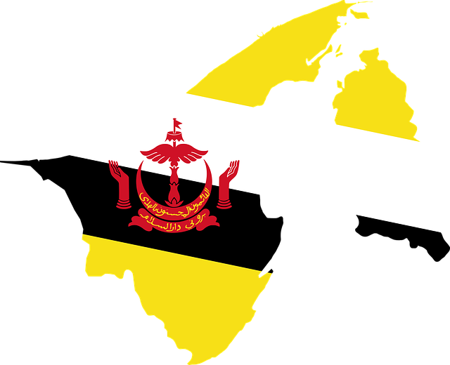 Ilustrasi Peta Brunei (Pixabay)