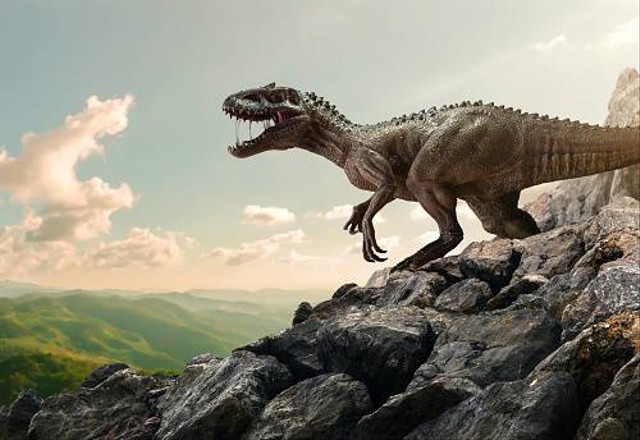 Ilustrasi Kunci Jawaban Teka-Teki Silang Soal Dinosaurus di Salju. Sumber: www.pixabay.com