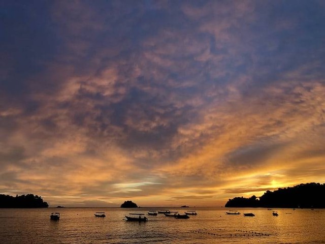 Ilustrasi daya tarik Pulau Moyo. Sumber: unsplash.com/yoon oei