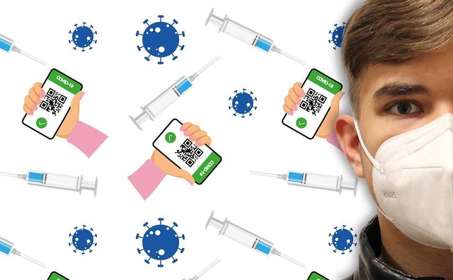 Ilustrasi Cara Lihat Sertifikat Vaksin Covid-19 dengan Mudah. Foto : Pixabay/Alexandra_Koch