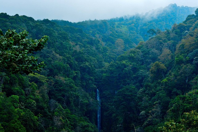 Ilustrasi Coban Rondo. Foto: pixabay.com/sapto7