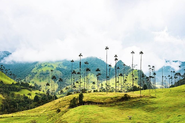 Ilustrasi bukit Teletubbies Bromo. Sumber: www.pexels.com