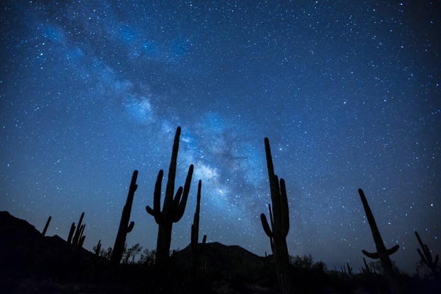 Ilustrasi Tanda-tanda Malam Lailatul Qadar, Foto Pexels Pixabay