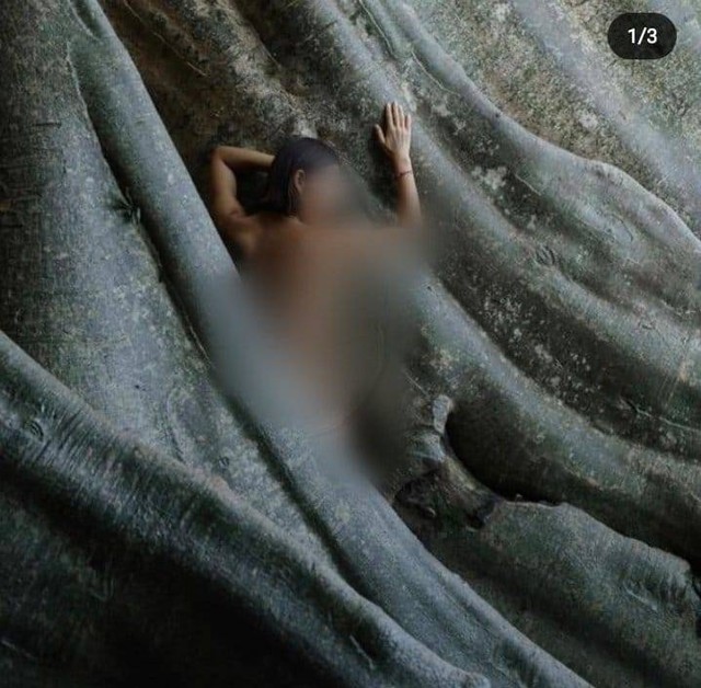 Foto yang viral di media sosial - IST