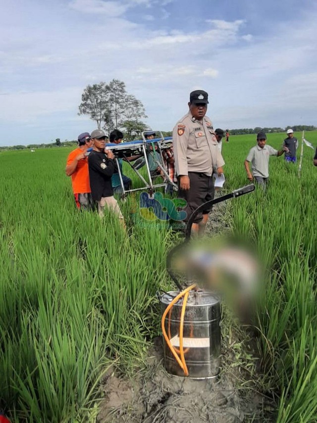 Petugas saat identifikasi mayat Siman (60) warga Desa Sumuragung, Kecamatan Kepohbaru, Kabupaten Bojonegoro, yang meninggal dunia di sawah miliknya. Kamis (13/04/2023) (Foto: Dok Istimewa)