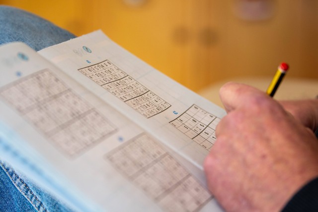 Ilustrasi Cara Bermain Sudoku untuk Pemula. Foto: Unsplash/Richard Bell.