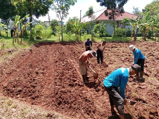 Warga Binaan Lapas Subang sedang melakukan pembajakan dan pemupukan tanah