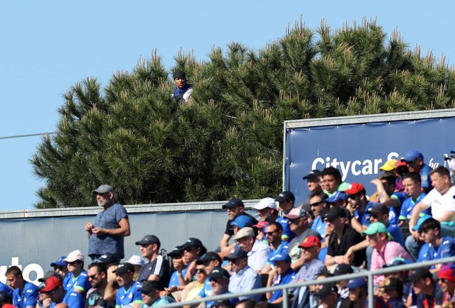 Penonton terlihat memanjat pohon di duel Getafe vs Barcelona dalam lanjutan Liga Spanyol 2022/23 di Stadion Coliseum Alfonso Perez, Madrid, Spanyol, pada Minggu (15/4). Foto: Isabel Infantes/Reuters