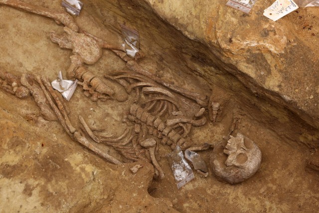 Seorang arkeolog dari Institut National de Recherches Archeologiques Preventives bekerja di pekuburan kuno di stasiun metro Port-Royal di Paris, pada 18 April 2023. Foto: THOMAS SAMSON / AFP