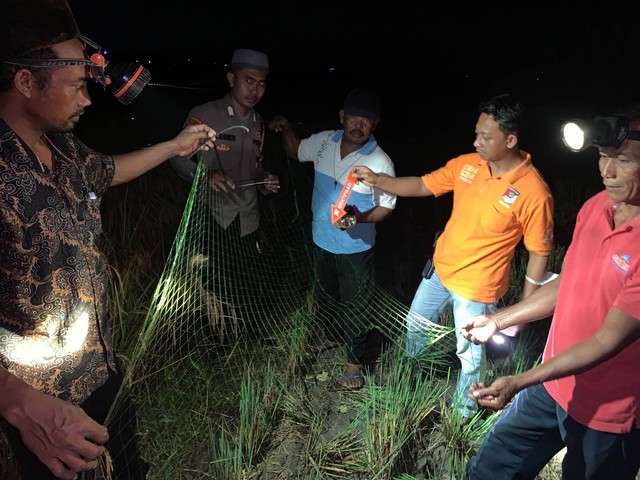 Lokasi remaja warga Pringsewu, Lampung meninggal akibat tersambar petir. | Foto: Dok Polres Pringsewu