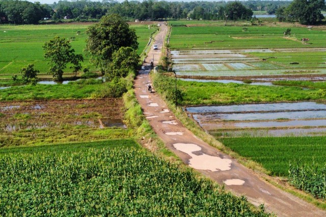 Jalan penghubung antar desa di Lampung Utara, Minggu (23/4/2023) | Foto: Roza Hariqo/Lampung Geh