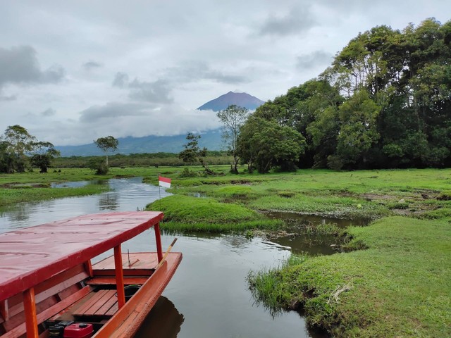 Ilustrasi wilayah tempat tinggal suku Kubu. Sumber: Ikhwanul Furqon/unsplash.com 