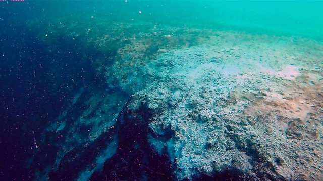 Blue hole, atau lubang biru, terdalam kedua di dunia ditemukan. Foto: Alcérreca-Huerta et al/Frontiers in Marine Science